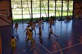 2ASB-SAPELA (3)